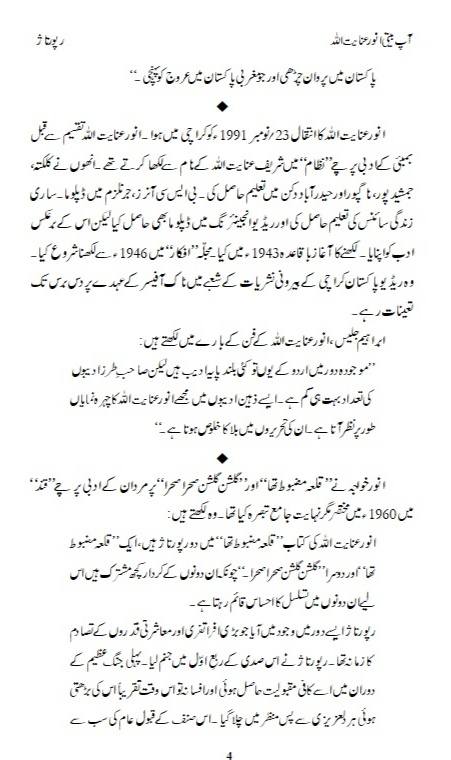 Aap Beti Aur Qila Mazbot Tha Gulshan Gulshan Sehra Sehra - آپ بیتی اور قلعہ مضبوط تھا گلشن گلشن صحرا صحرا - Image 4