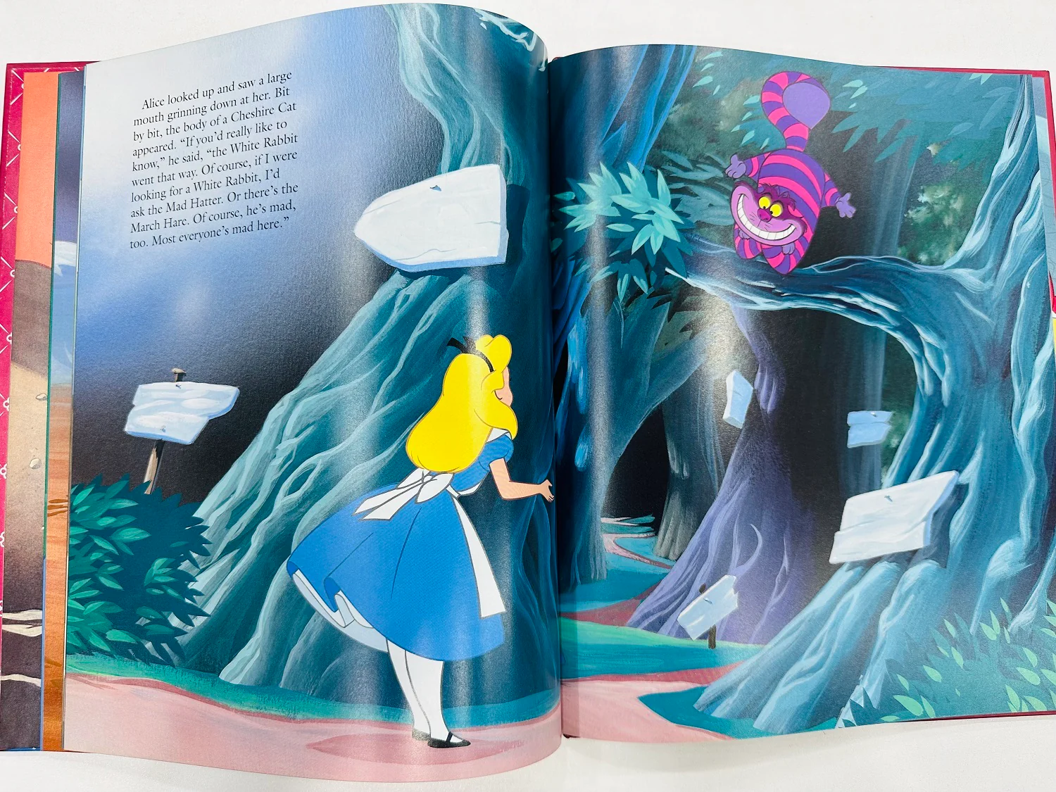 Alice In Wonderland - Image 5