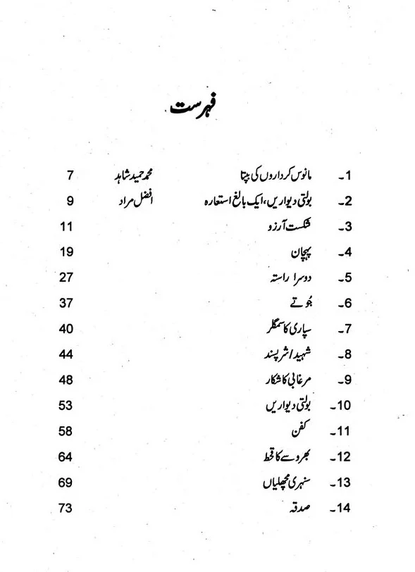 Bolti Dewarain - بولتی دیواریں - مختصر کہانیاں - Image 2
