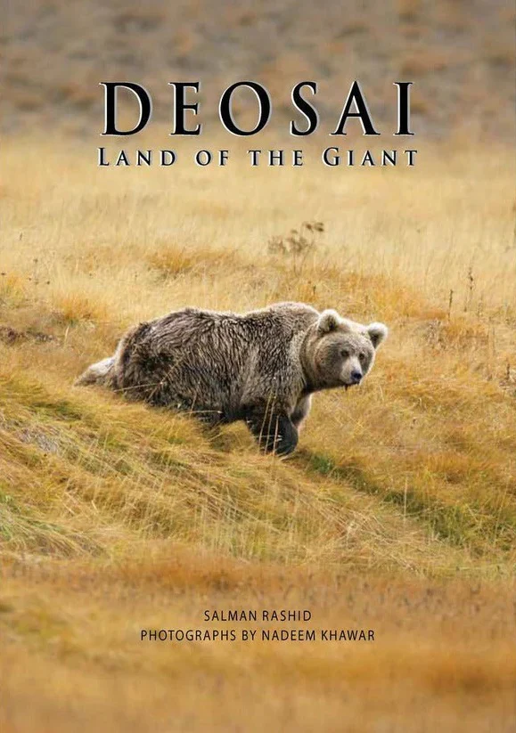 Deosai: Land Of The Giant - Image 2