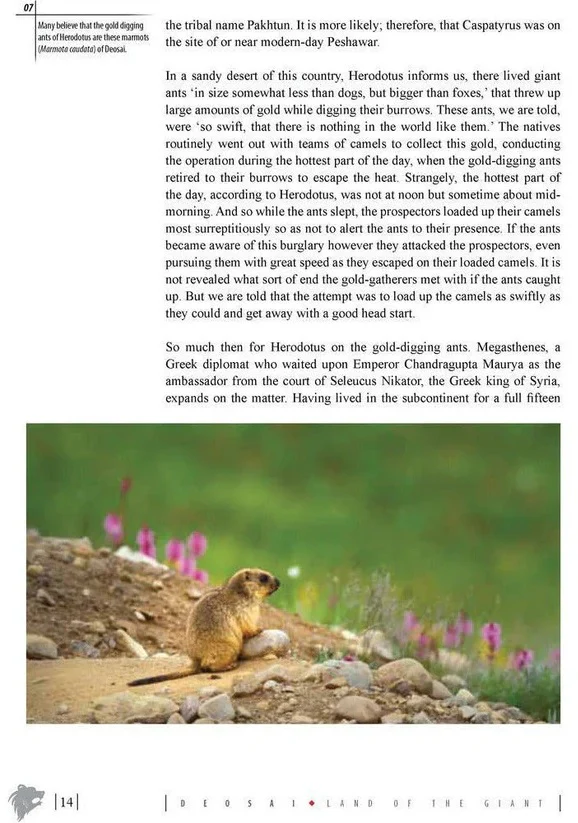 Deosai: Land Of The Giant - Image 5