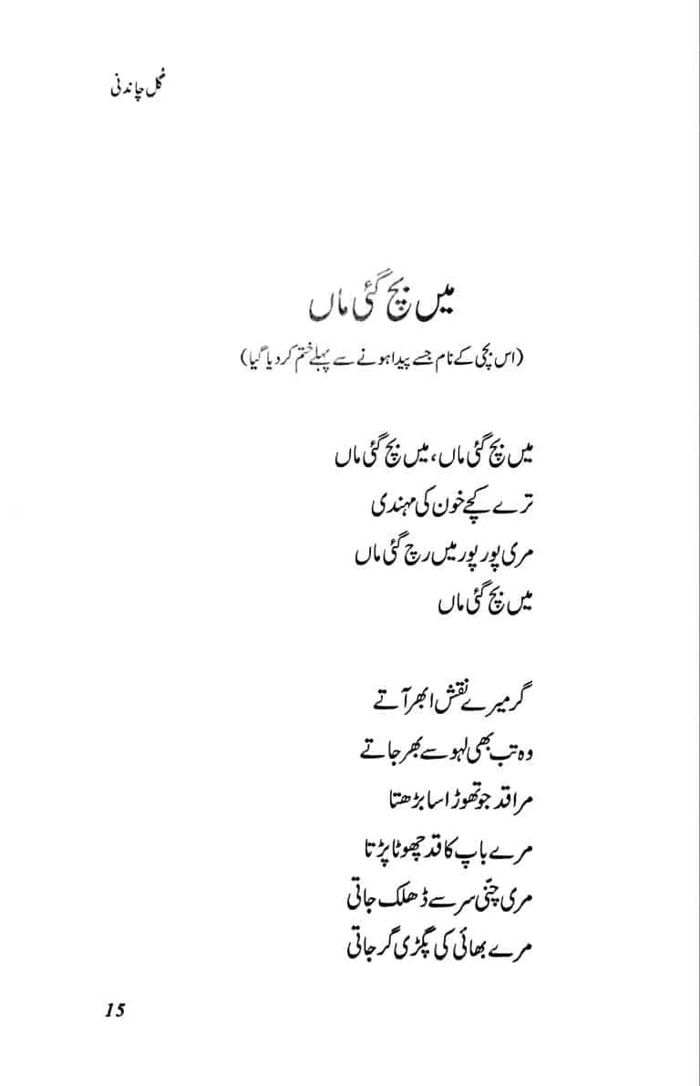 Gul Chandni - گل چاندنی - Image 5