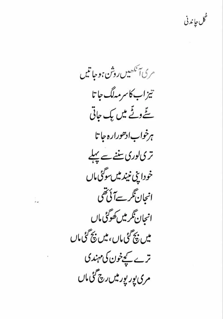 Gul Chandni - گل چاندنی - Image 6