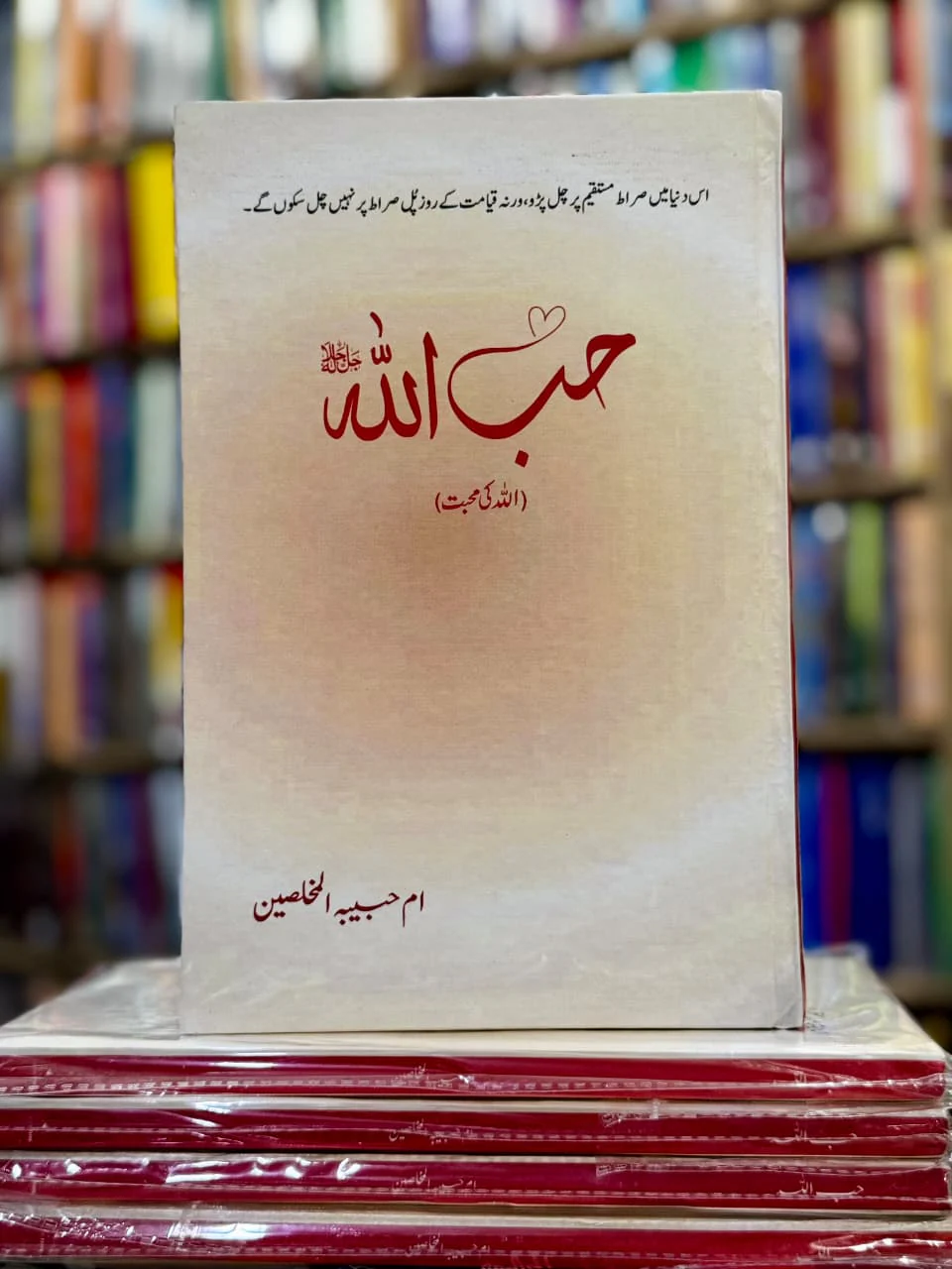Hibullah - حب اللہ - Image 2