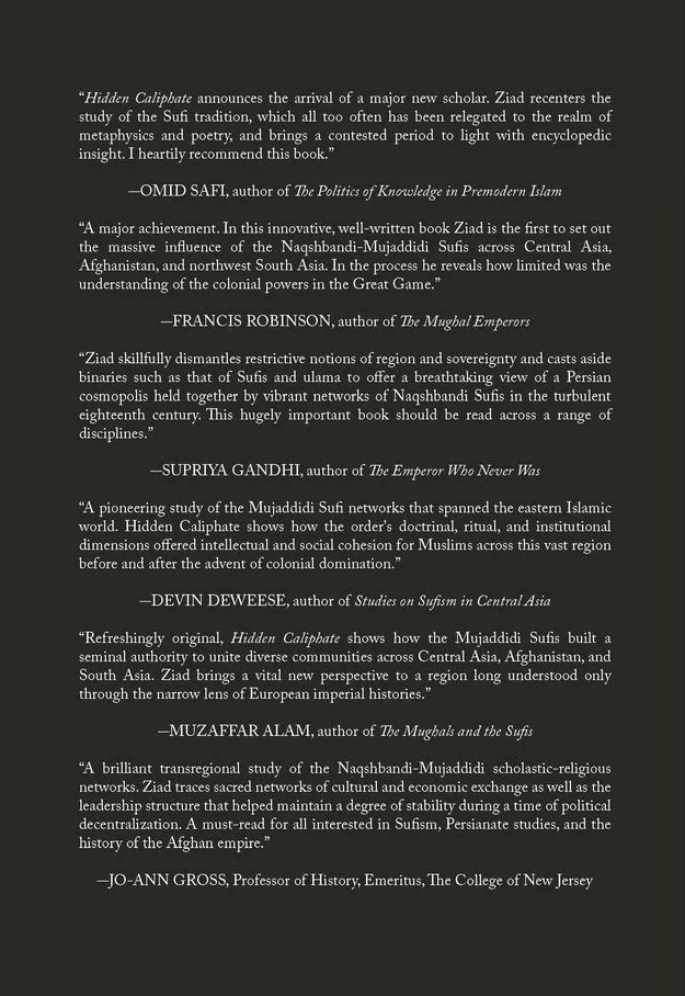 Hidden Caliphate: Sufi Saints Beyond The Oxus And Indus - Image 2