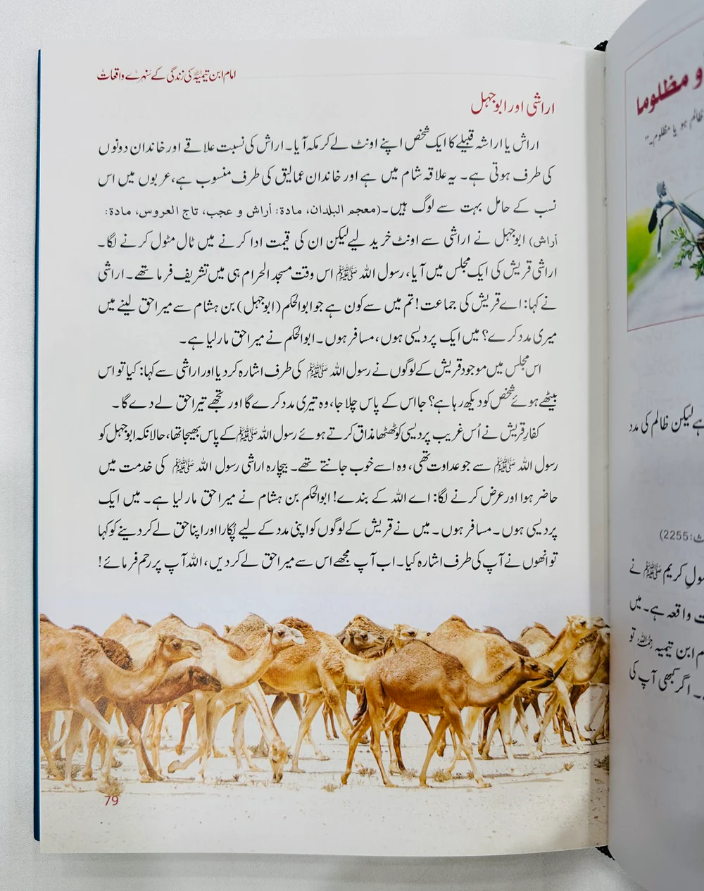 Imam Ibn e Temia Ki Zindagi Kay Sunehry Waqeat - امام ابن تیمیہ کی زندگی کے سنہرے واقعات - Image 5