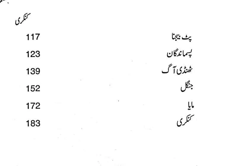 Kankarii - کنکری - Image 3