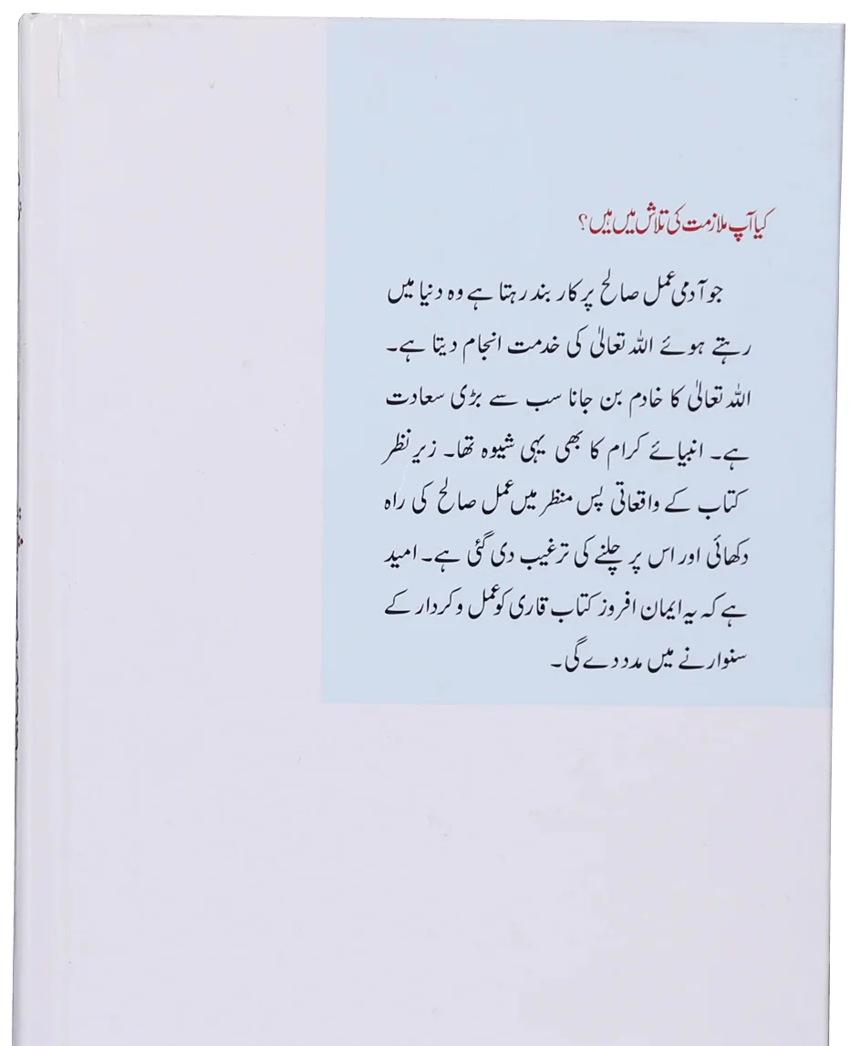 Kiya Ap Mulazmat Ki Talash Main Hain - کیا آپ ملازمت کی تلاش میں ہیں - Image 2