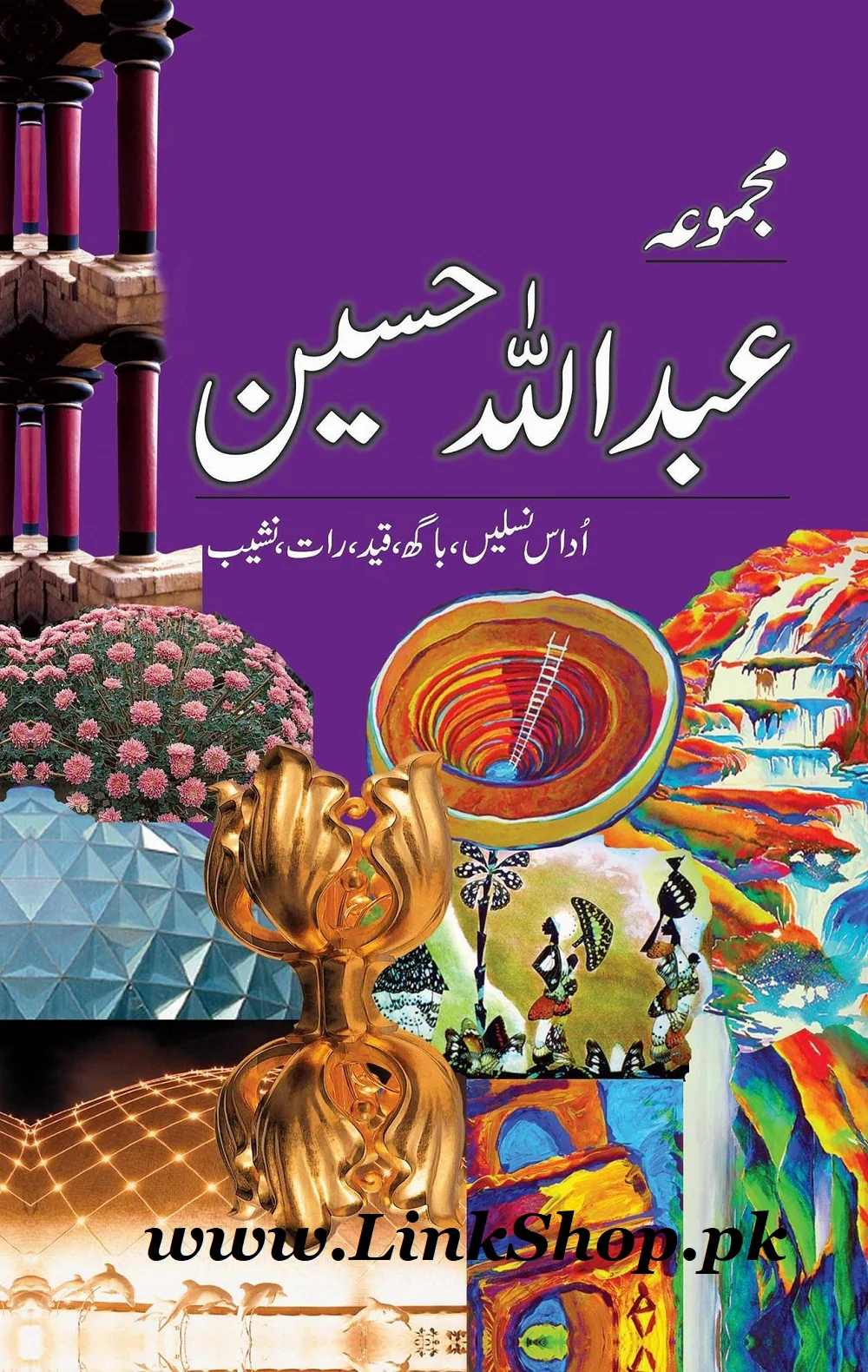 Majmua Abdullah Hussain - مجموعہ عبد اللہ حسین