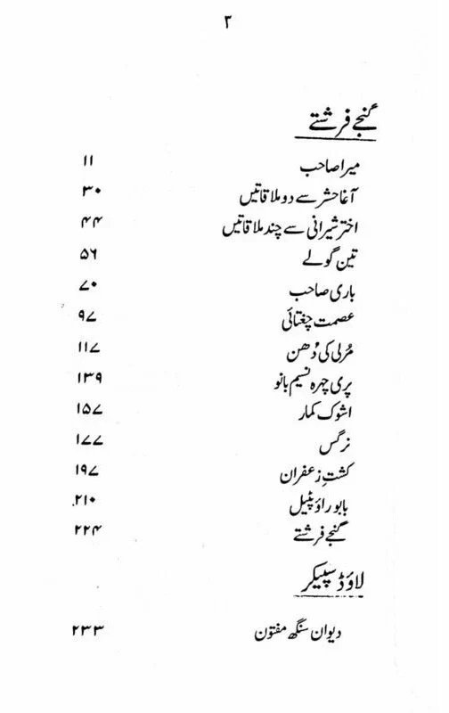 Manto Numa  - منٹو نما - Image 2
