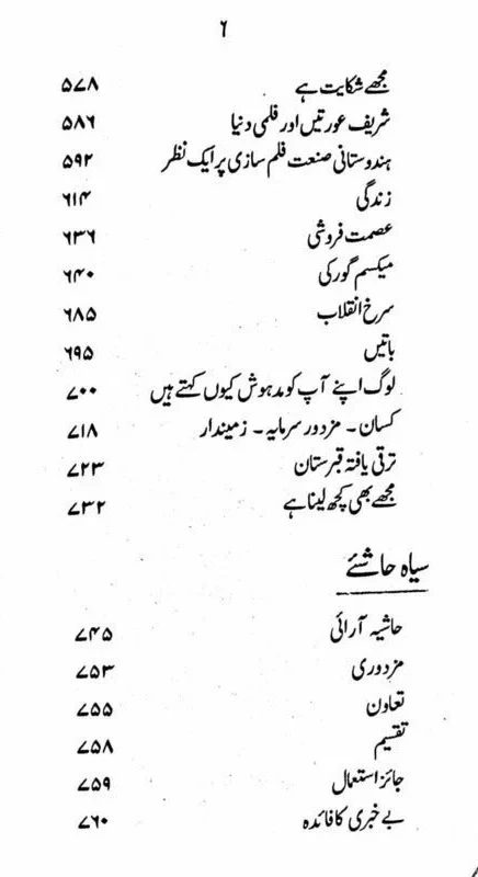 Manto Numa  - منٹو نما - Image 5