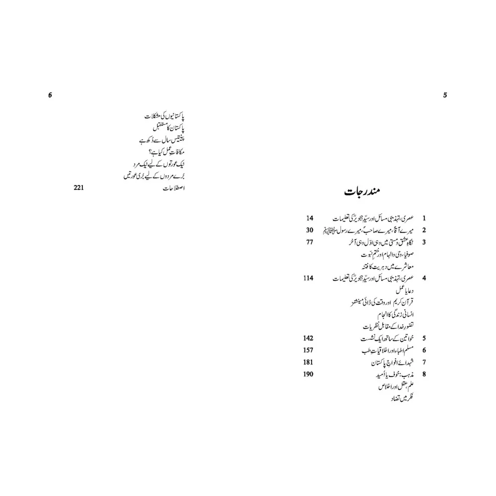 Meray Aaqa (PBUH) Meray Sahib (PBUH) Mera Rasool (PBUH) - میرے آقا میرے صاحب میرے رسولﷺ - Image 2