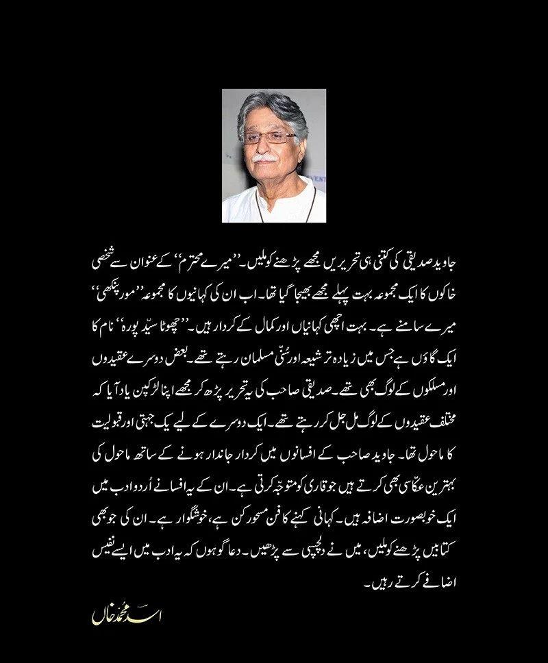 Mor Pankhi - مور پنکھی - Image 2