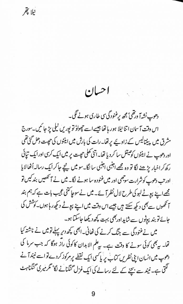 Neela Pathar - نیلا پتھر - Image 3