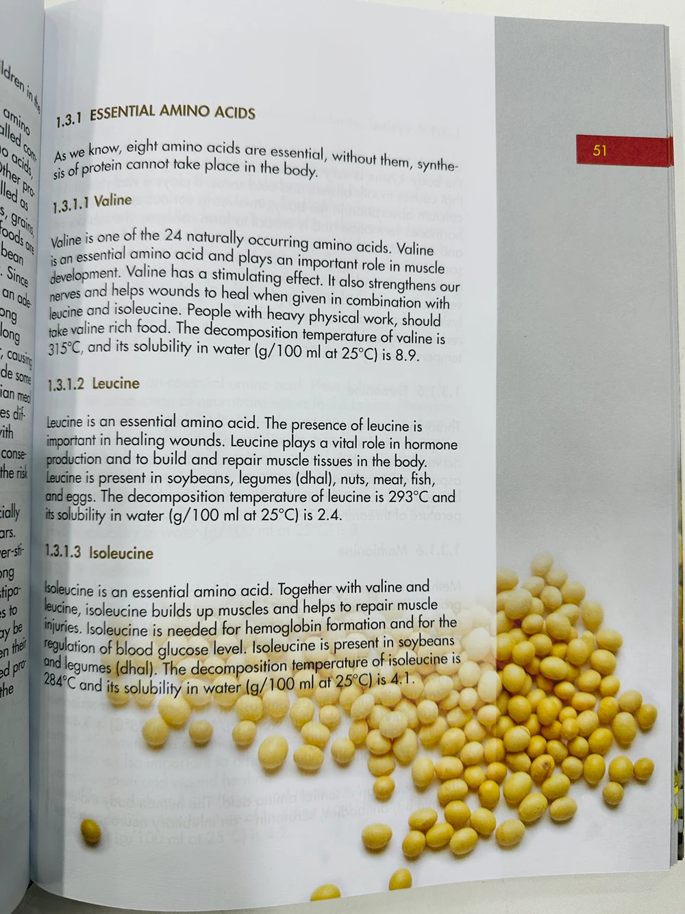 Nutrition And Health For South Asians - Image 2