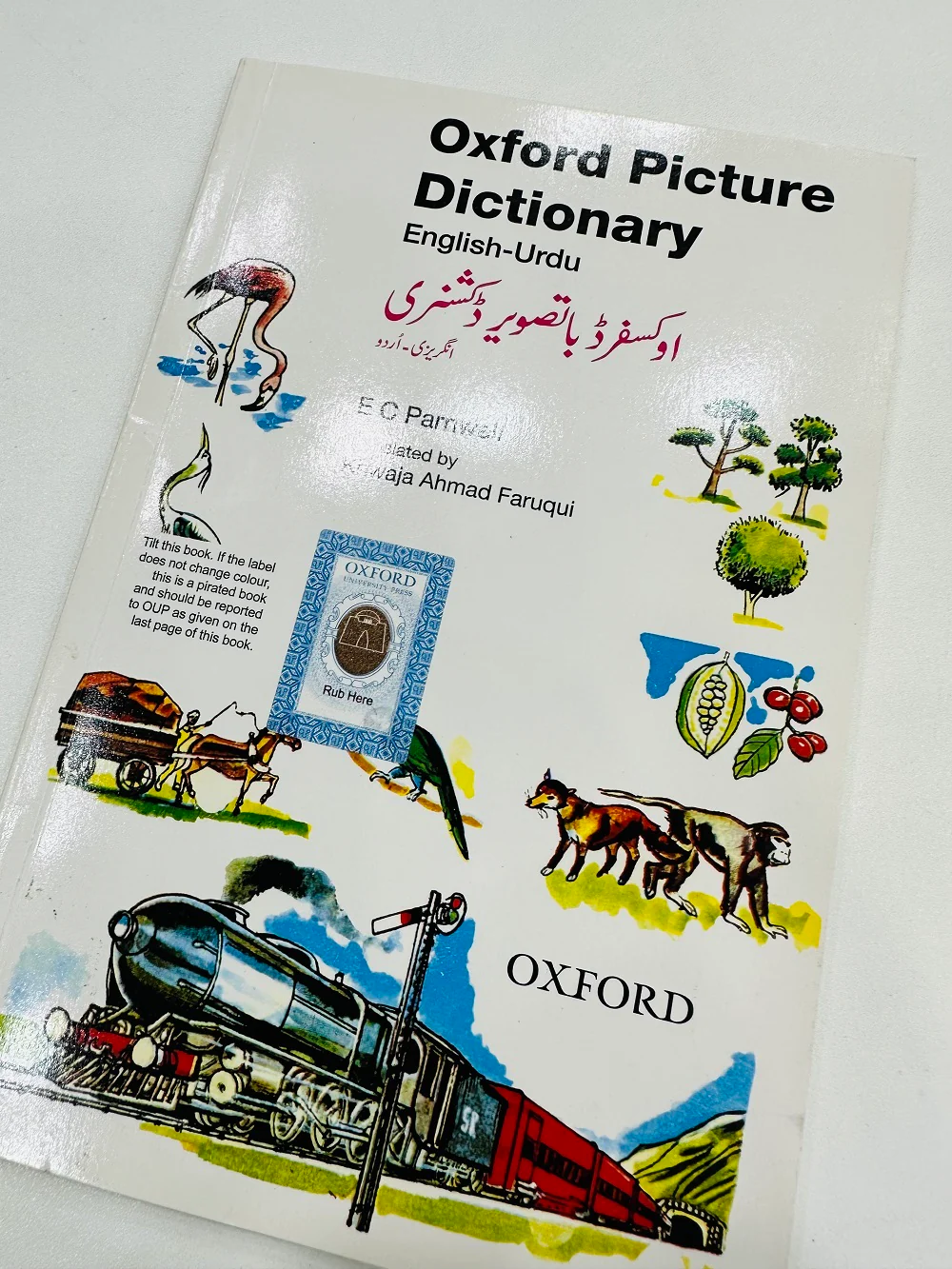 Oxford Picture Dictionary English Urdu - Image 2