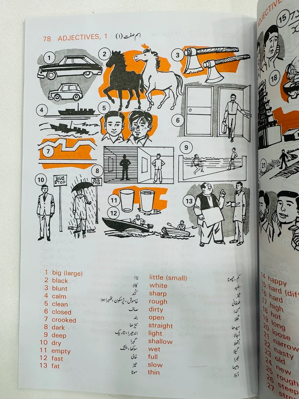Oxford Picture Dictionary English Urdu - Image 6