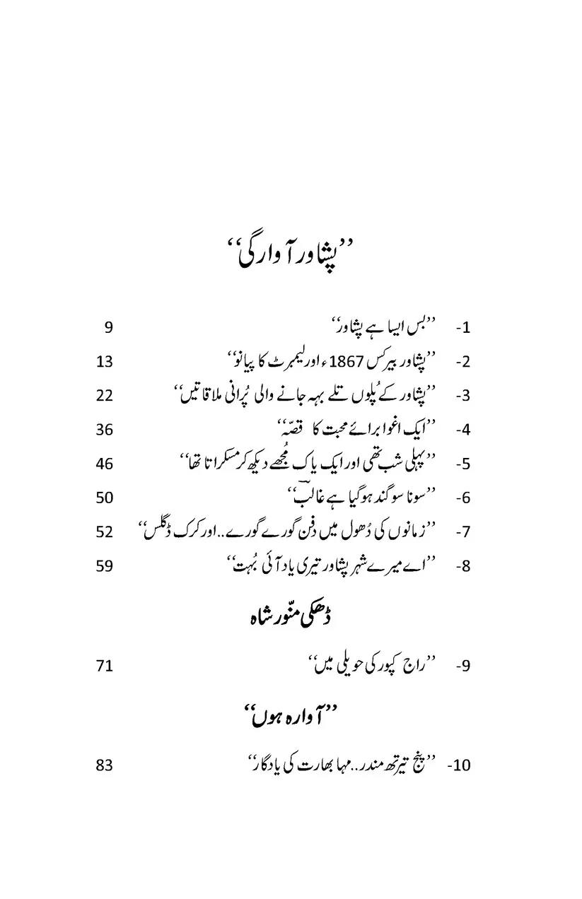 Peshawar Awargi - پشاور آوارگی - Image 3