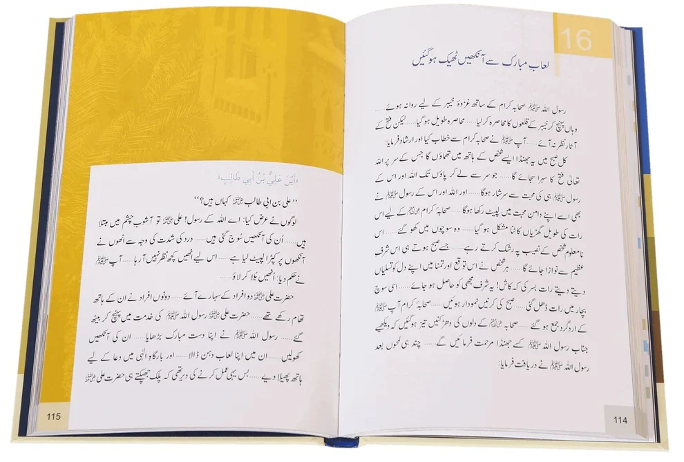 Piaym e Seerat - پیام سیرت - Image 3