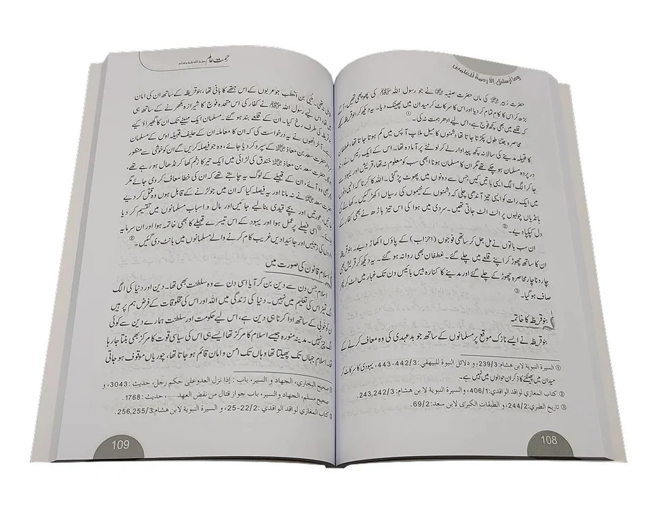 Rehmat e Aalam - رحمت عالم - Image 3