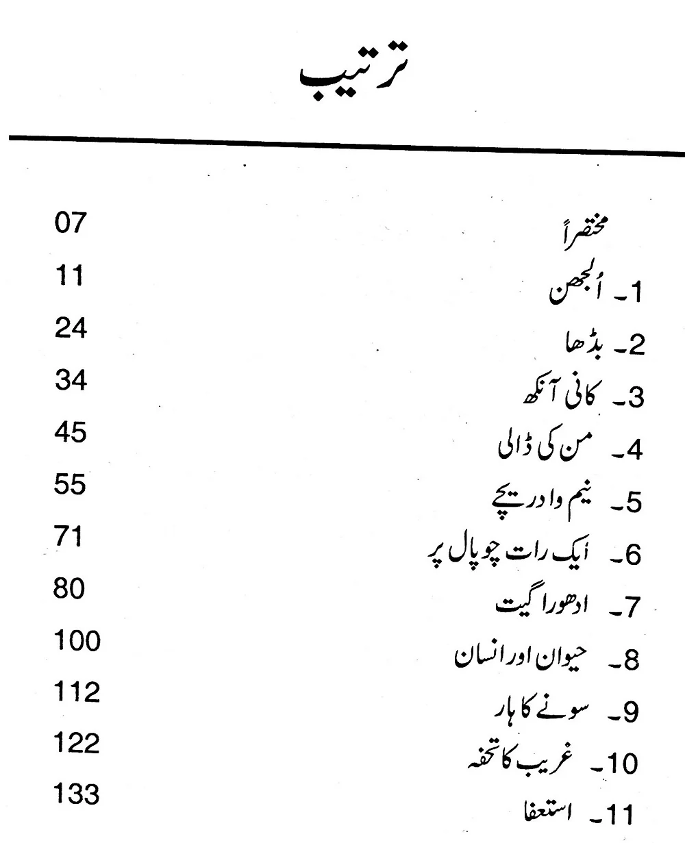 Sailaab O Gardaab - سیلاب و گرداب - Image 2
