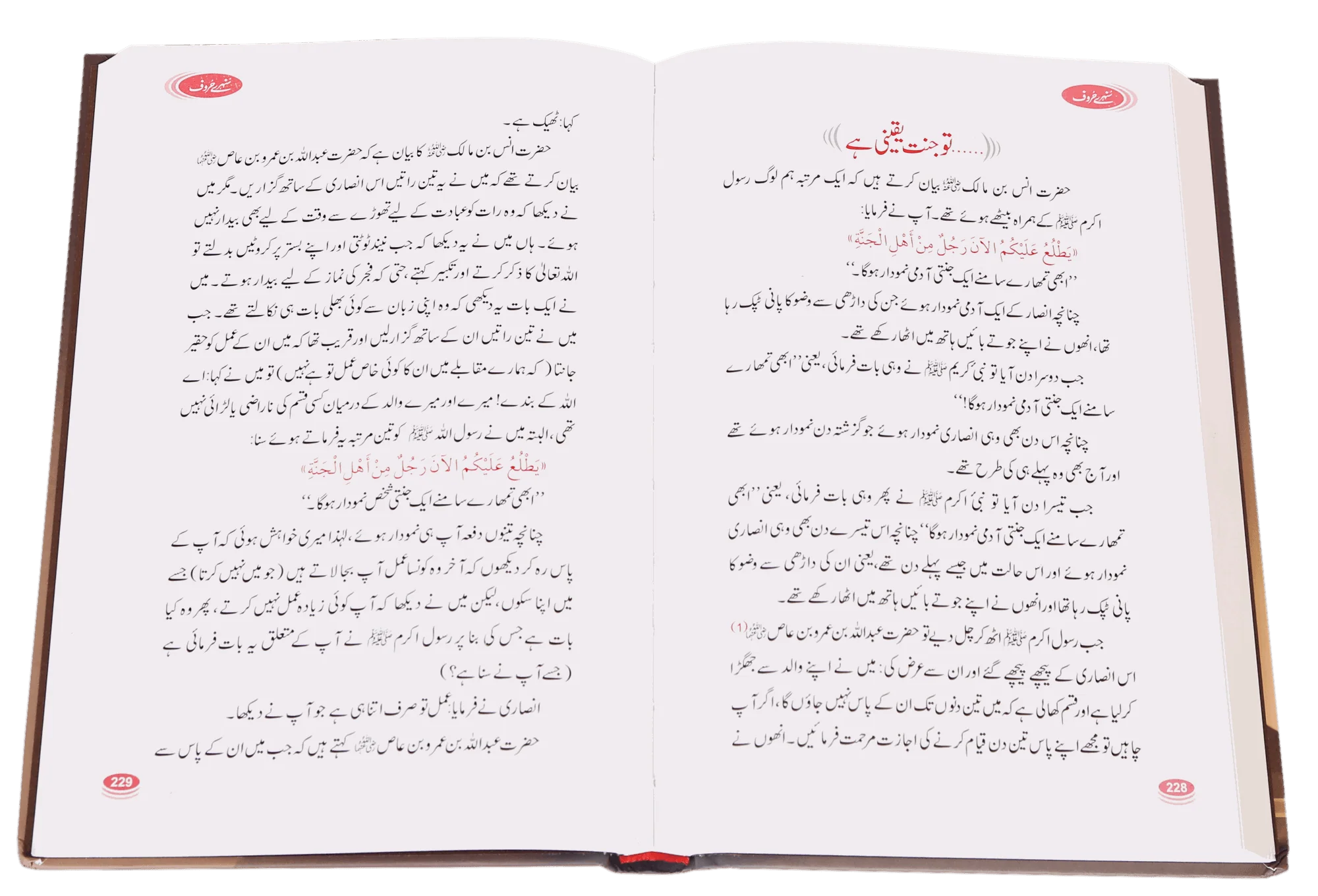 Sunehray Harof - سنہرے حروف - Image 3