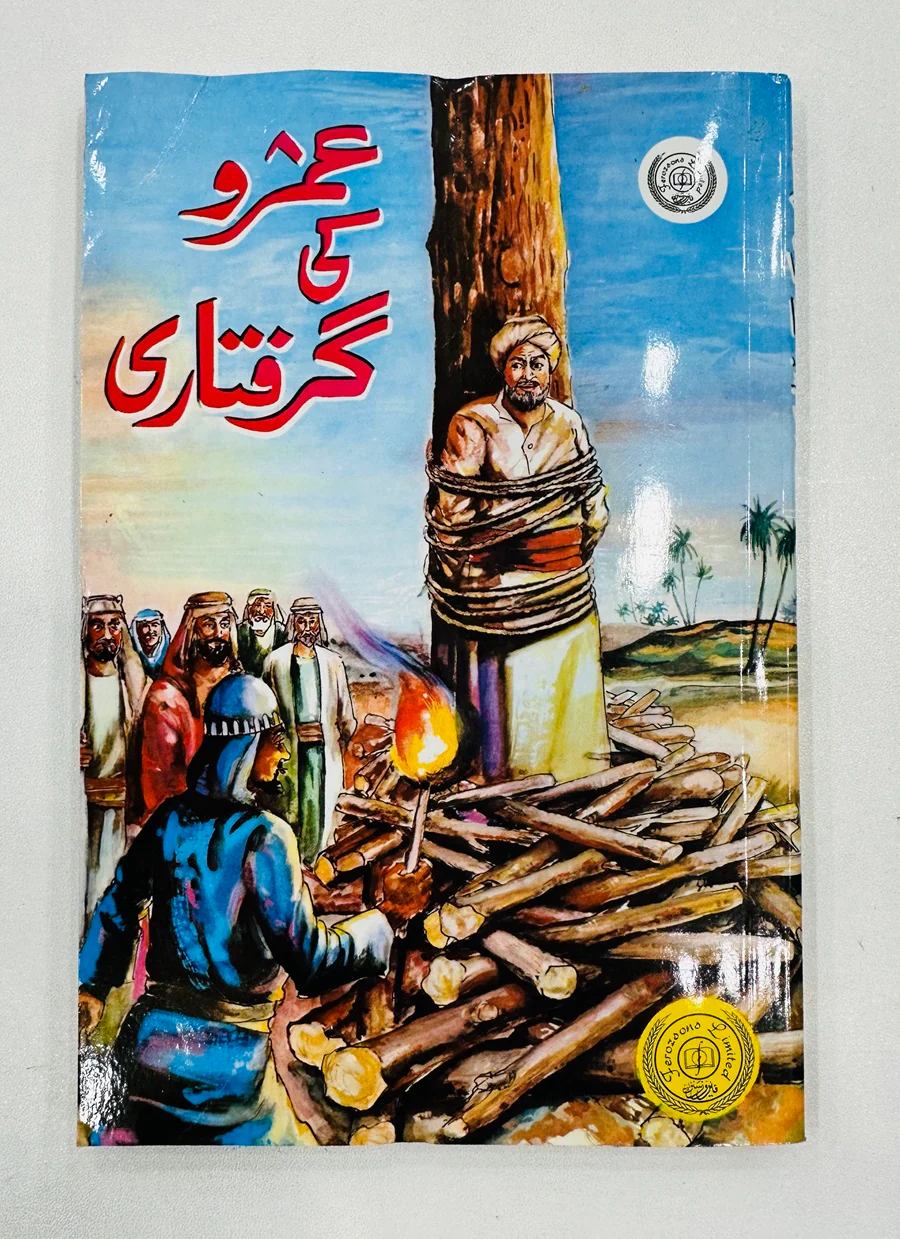 Umro Ayyar Set Of 10 Book By Akhtar Rizvi - عمرو عیار کی 10 کتب کا سیٹ - Image 5