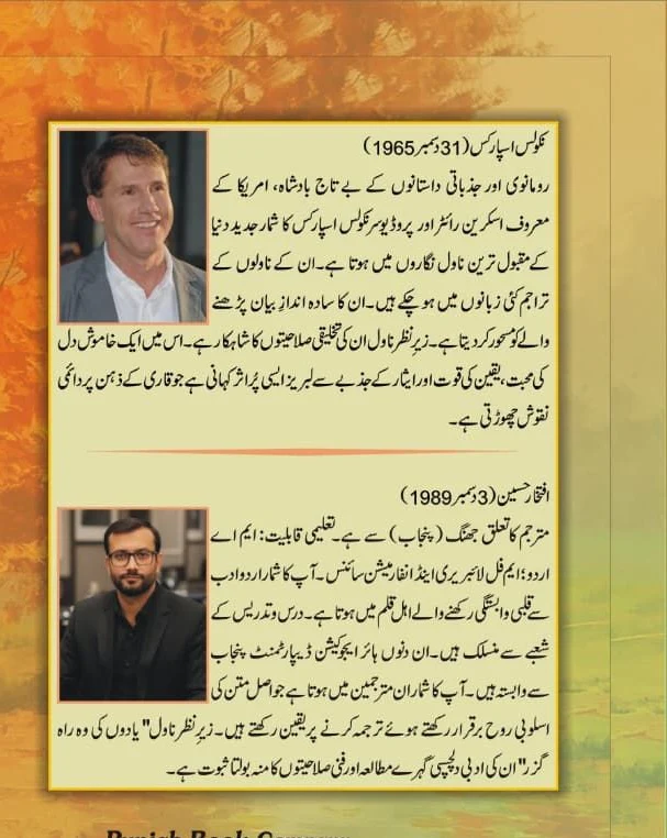 Yadon Ki Wo Rahghuzar - یادوں کی وہ راہ گزر - Image 2