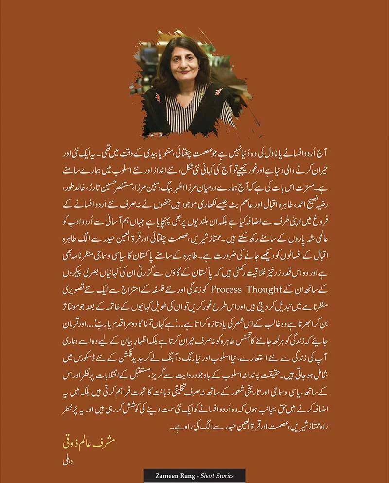 Zameen Rang - زمیں رنگ - Image 2