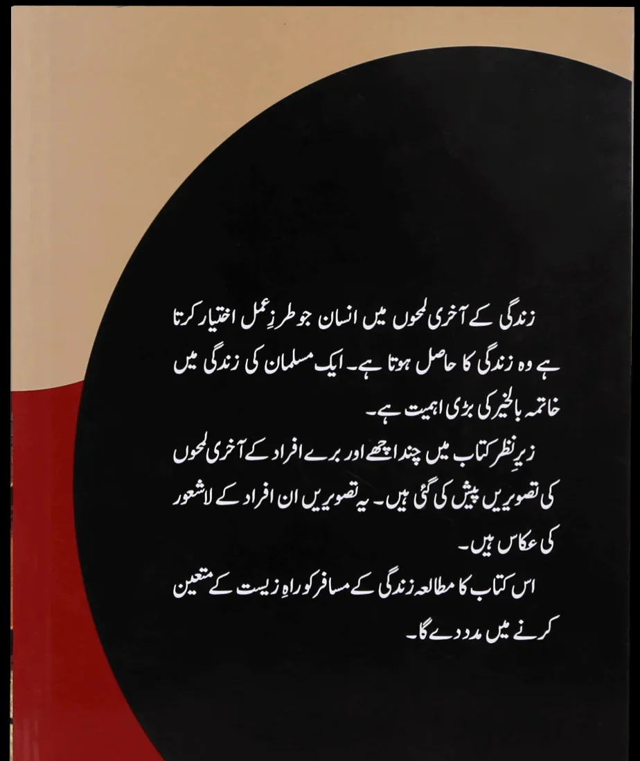 Zindaghi Ki Aakhri Tasverain - زندگی کی آخری تصویریں - Image 3