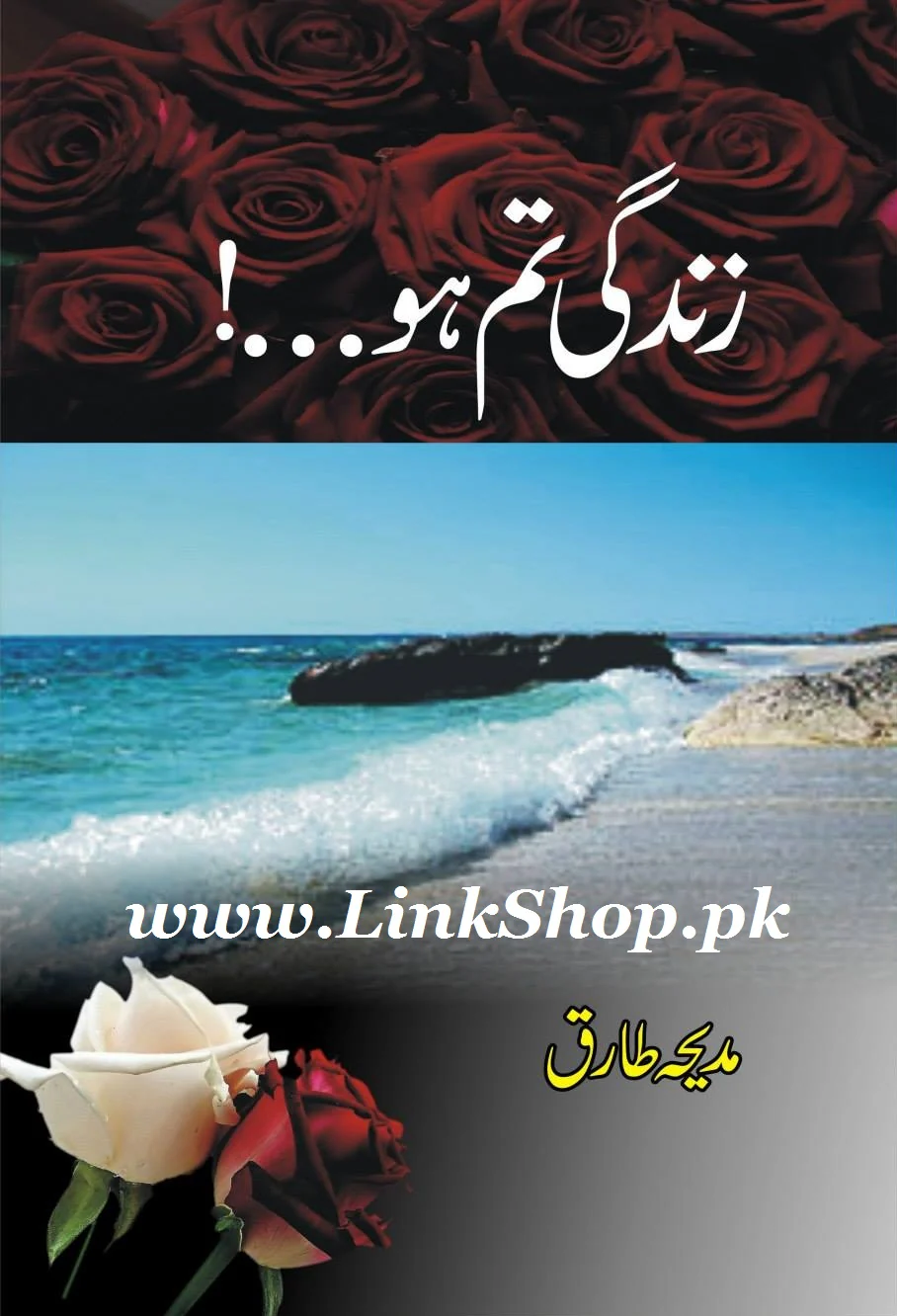 Zindagi Tum Ho - زندگی تم ہو